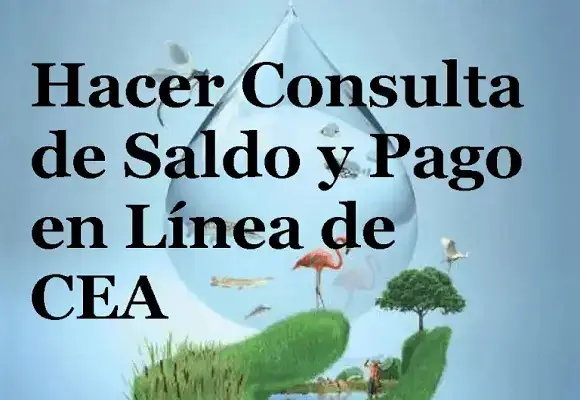 saldo pago línea cea