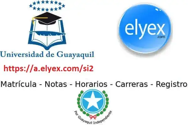 universidad guayaquil matriculas nivelacion