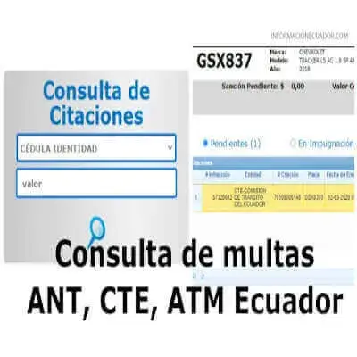 Consulta Consulta de multas ANT, CTE, ATM Ecuador