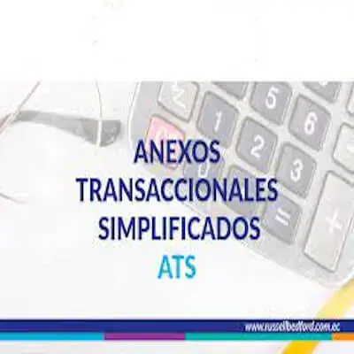 Anexo transaccional simplificado (ATS)