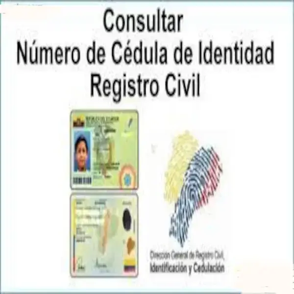 Consultar número de cédula de Identidad, Ecuador