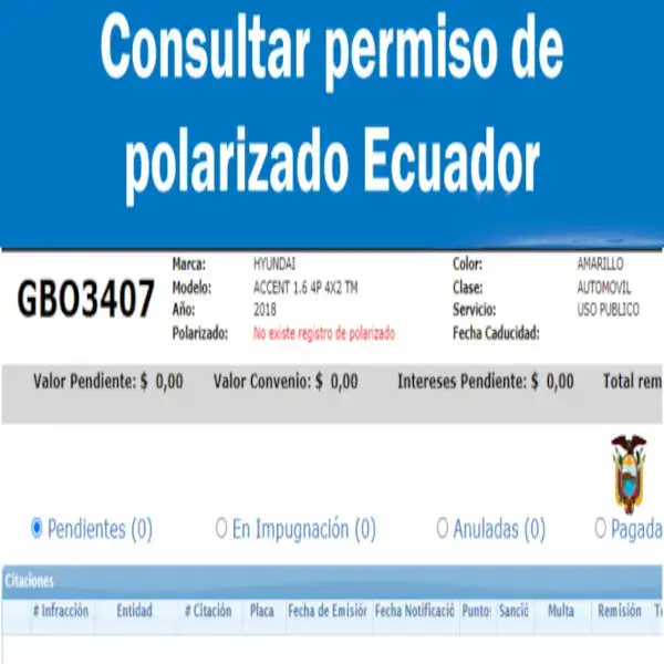 Consultar permiso de polarizado Ecuador ANT