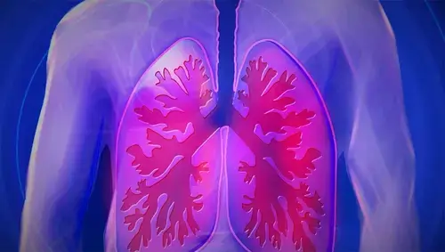 Plantas que te ayudarán a limpiar los pulmones de forma natural