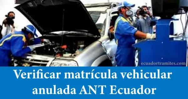Verificar matrícula vehicular anulada ANT Ecuador