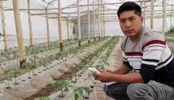 Becas para los mejores agroemprendedores del Ecuador