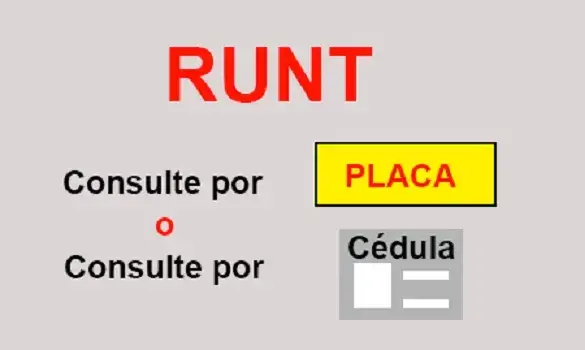 Cómo consultar runt por placa o por cédula