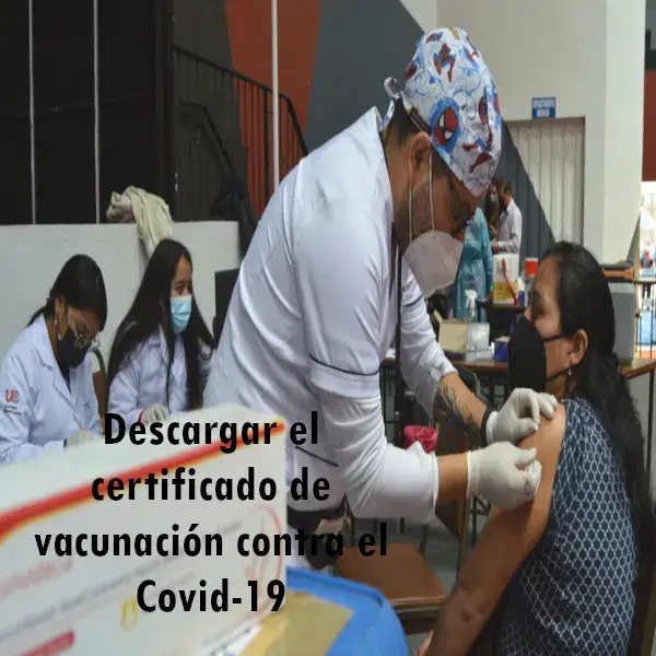 descargar-certificado-carnet-vacunacion
