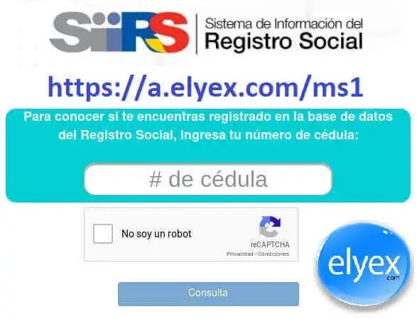 Consulta matricula vehicular SRI ANT Ecuador Sistema