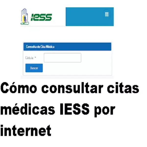 Cómo consultar citas médicas IESS por internet