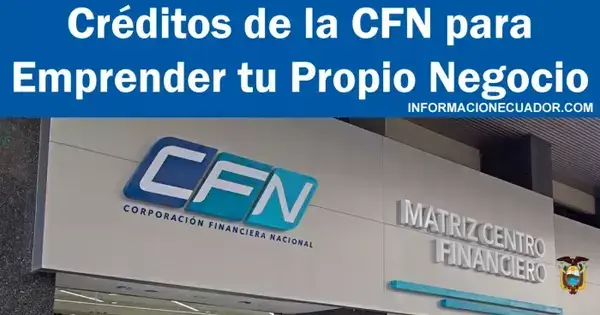 Créditos para negocios pequeños – CFN Ecuador