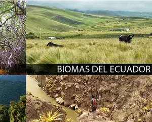 biomas de ecuador