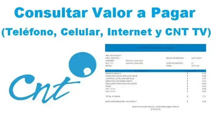 consultar valor pagar cnt