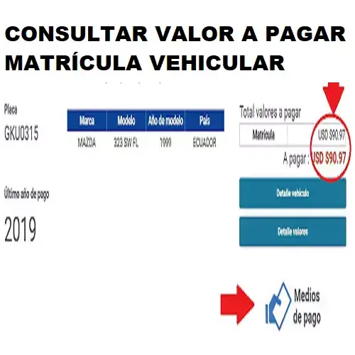 consultar valor pagar matricula