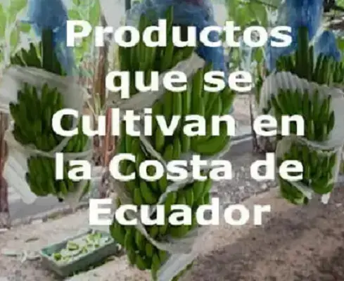Productos Costa