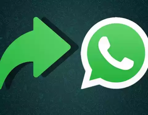Utiliza estos trucos para reenviar mensajes de WhatsApp