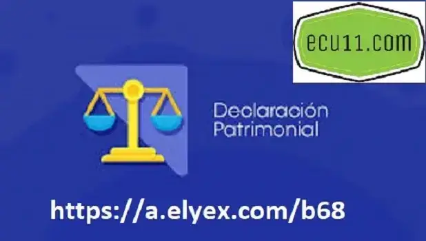 anexo declaracion patrimonial sri