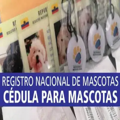 Registro Nacional de mascotas del Ecuador