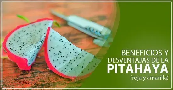 Beneficios y Desventajas de la pitahaya