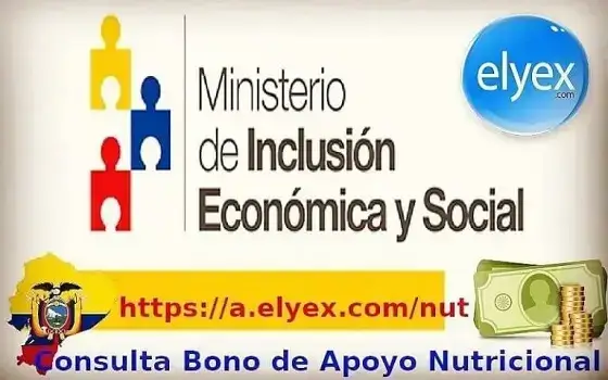 Consulta Bono de Apoyo Nutricional MIES www.inclusio