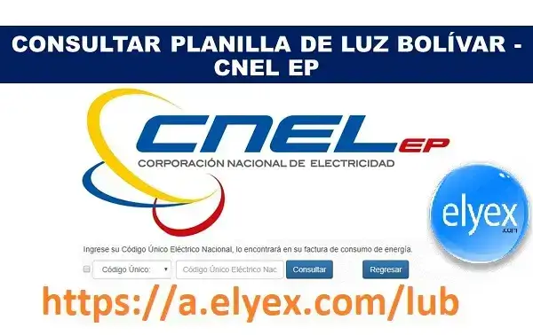CNEL Bolivar Consultar Planilla De Luz