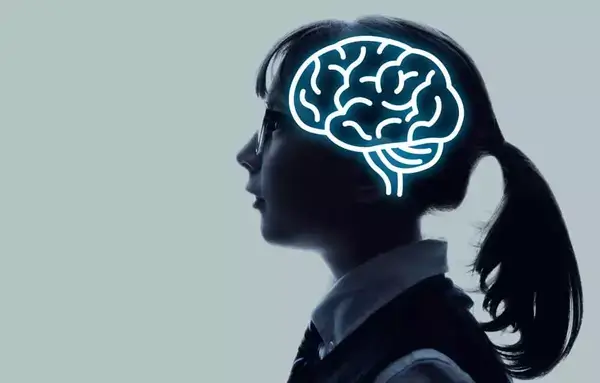 Estudiar Neurociencia El Funcionamiento Del Cerebro