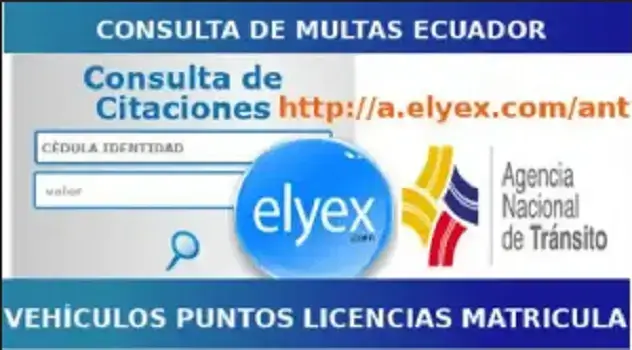 Consulta Multas ANT Ecuador Licencia Matricula SRI SPPAT