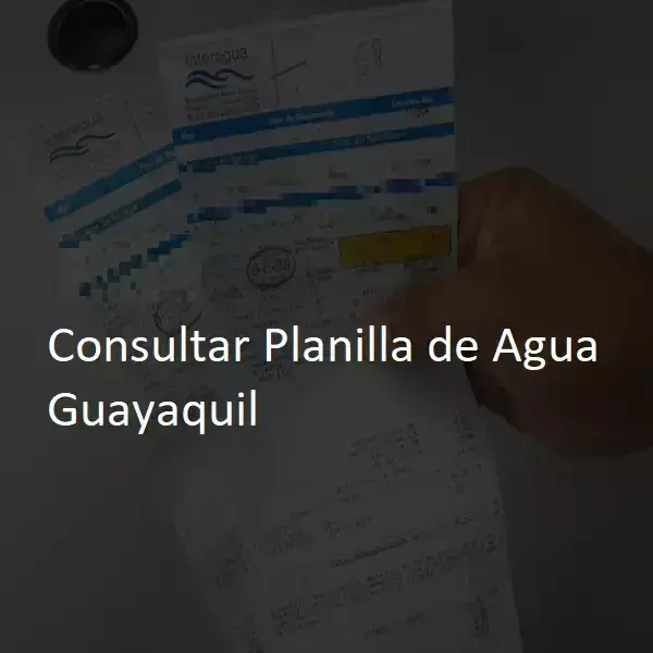 Consultar Planilla de Agua Guayaquil