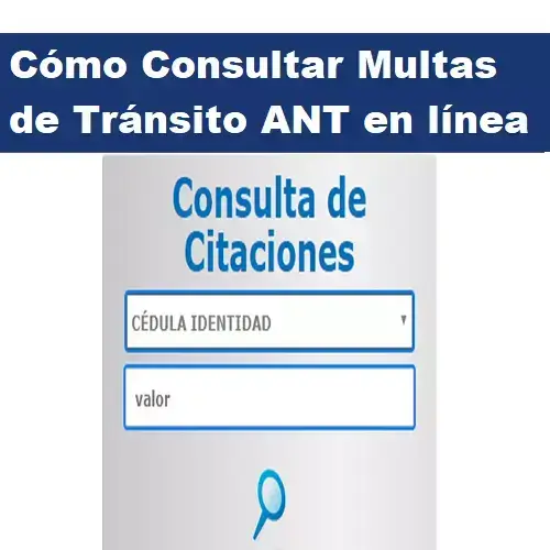 consulta-multas