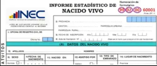 Consultar Informe de Nacido Vivo