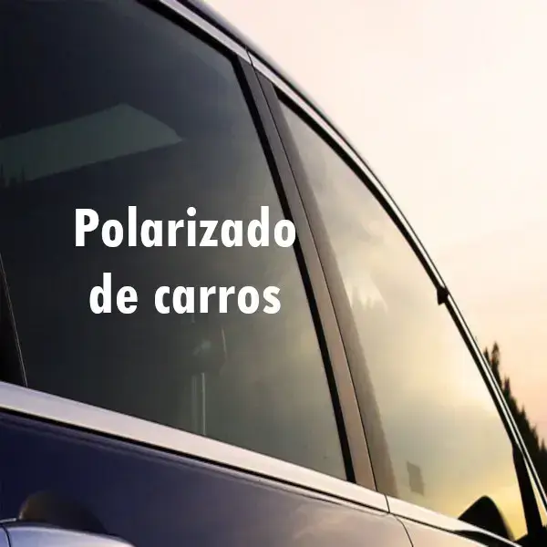 Polarizado de carros