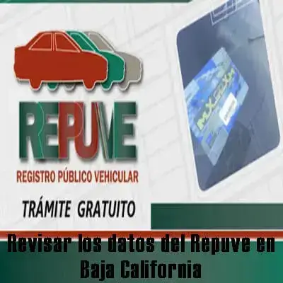 Revisar los datos del Repuve en Baja California
