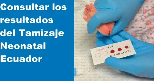 Consultar los resultados del Tamizaje Neonatal Ecuador