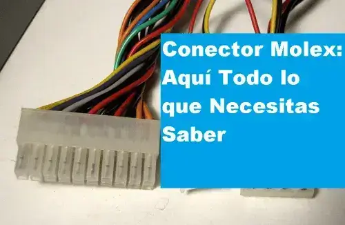 conectar_molex_nesesites-e1627083127377