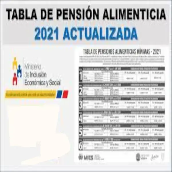 tabla de pensiones alimenticias mínimas para adultos mayores 2024 ecu11