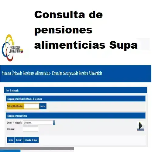 Consulta de pensiones alimenticias Supa