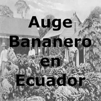 auge-bananero-ecuador-historia