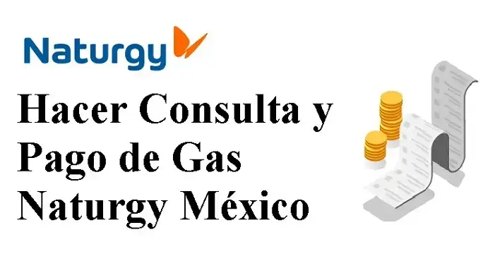 Hacer Consulta y Pago de Gas Naturgy México.