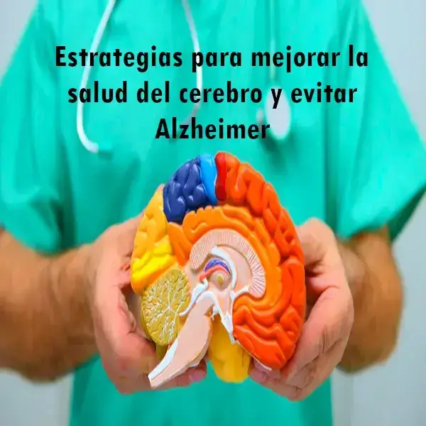 Estrategias para mejorar la salud del cerebro y evitar Alzheimer